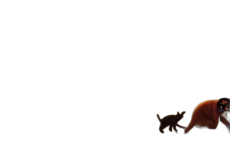 animal, staff, creature, furniture transparent PNG cut-out
