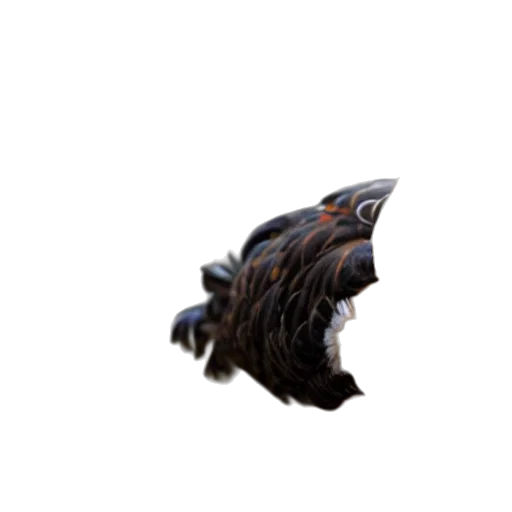 hair, creature, dragon, animal, 3d render, pixel art, concept art, chicken transparent PNG cut-out