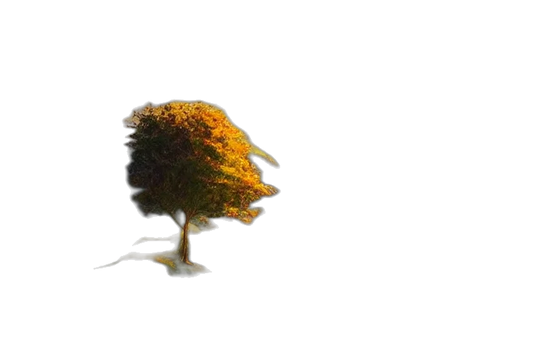 tree, crown, flower, hat, 3d render, photorealistic, concept art, fantasy art transparent PNG cut-out