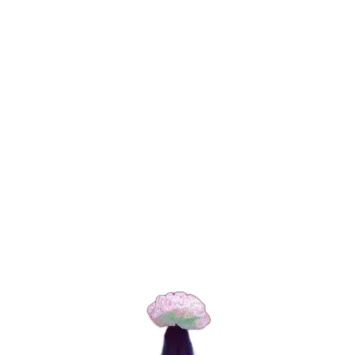 umbrella, hat, flower, crown transparent PNG cut-out