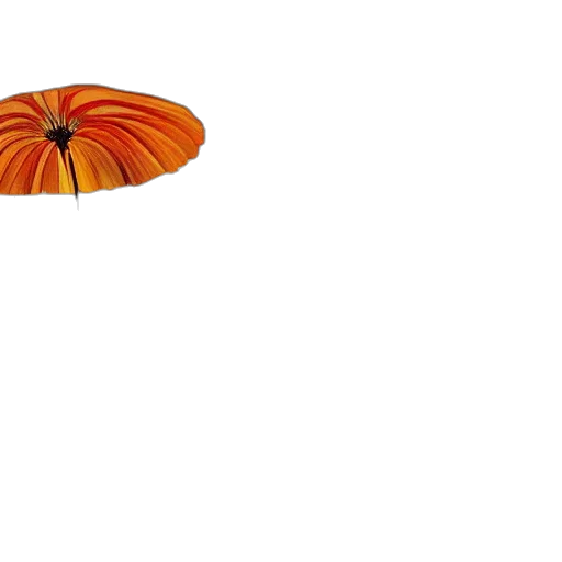 umbrella, flower, furniture, crown transparent PNG cut-out