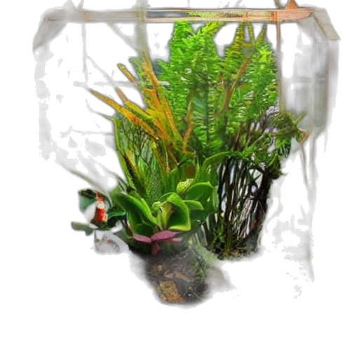 photorealistic, concept art, 3d render, fantasy art transparent PNG cut-out