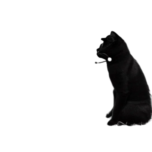 animal, staff, creature, hat, concept art, photorealistic, pixel art, 3d render transparent PNG cut-out