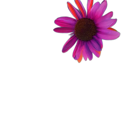 flower, crown, jewelry, staff, photorealistic, 3d render, watercolor, pixel art transparent PNG cut-out