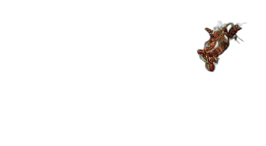 staff, crown, mask, weapon, pixel art, concept art, 3d render, photorealistic transparent PNG cut-out
