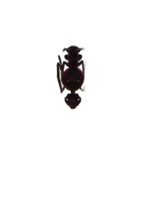 animal, creature, crown, dragon, 3d render, concept art, highly, detailed transparent PNG cut-out