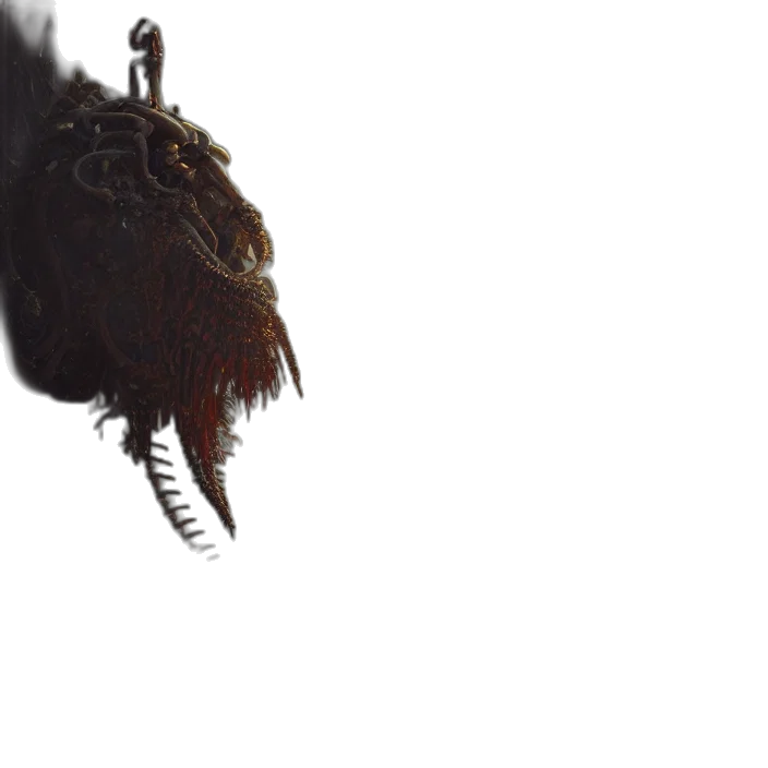 hair, animal, creature, crown transparent PNG cut-out
