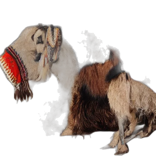 animal, mask, creature, hair, concept art, photorealistic, 3d render, animals transparent PNG cut-out