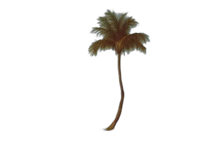 tree, hair, hat, umbrella, concept art, photorealistic, 3d render, vaporwave transparent PNG cut-out