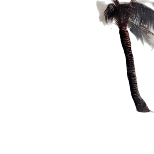 staff, weapon, hair, animal transparent PNG cut-out