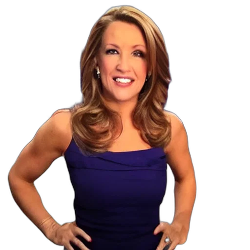 dress, fox, news, female transparent PNG cut-out