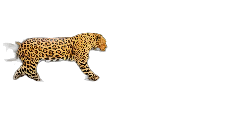 animal, creature, shoes, hair, 3d render, photorealistic, concept art, photo transparent PNG cut-out