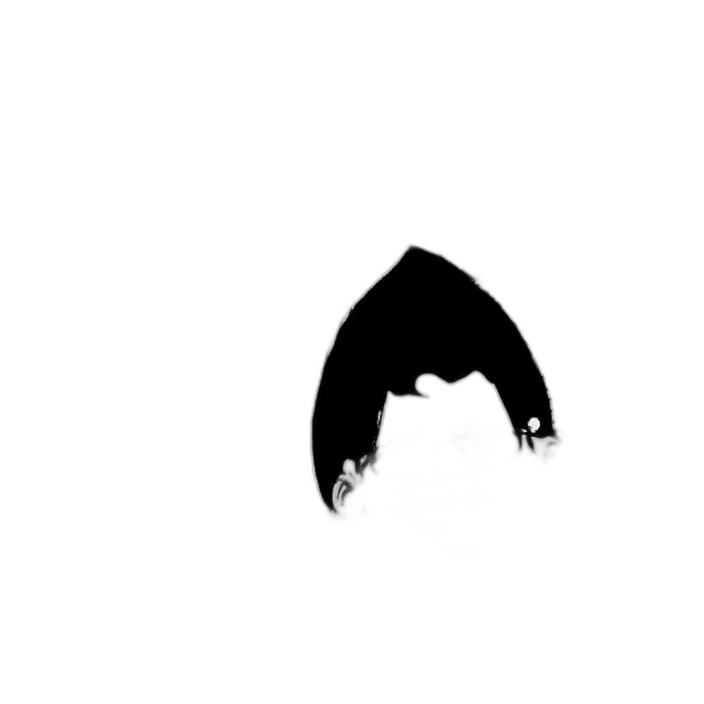 hair, mask, face, creature, concept art, cartoon, photorealistic, anime transparent PNG cut-out