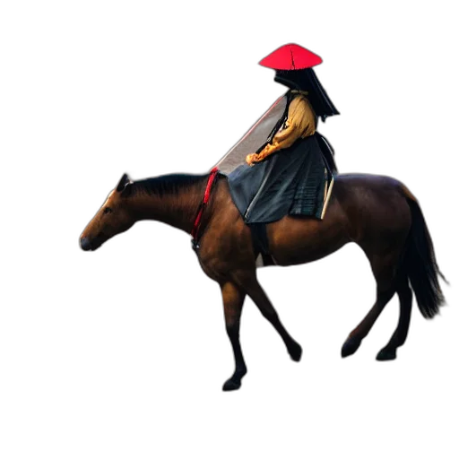hat, jacket, animal, umbrella transparent PNG cut-out