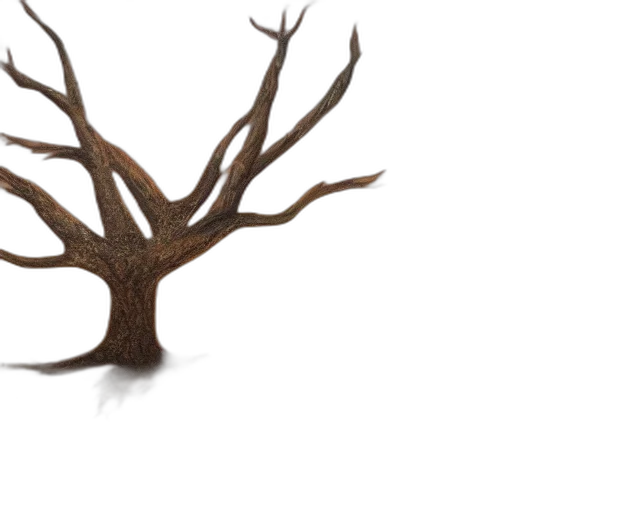 tree, crown, hair, furniture transparent PNG cut-out