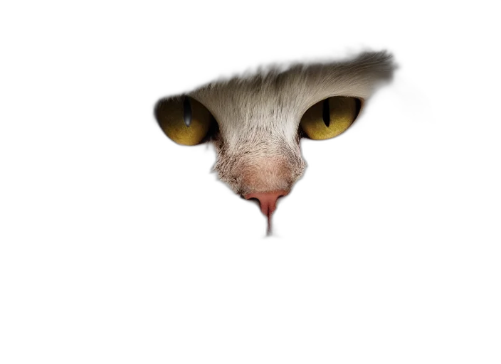 animal, creature, face, staff transparent PNG cut-out