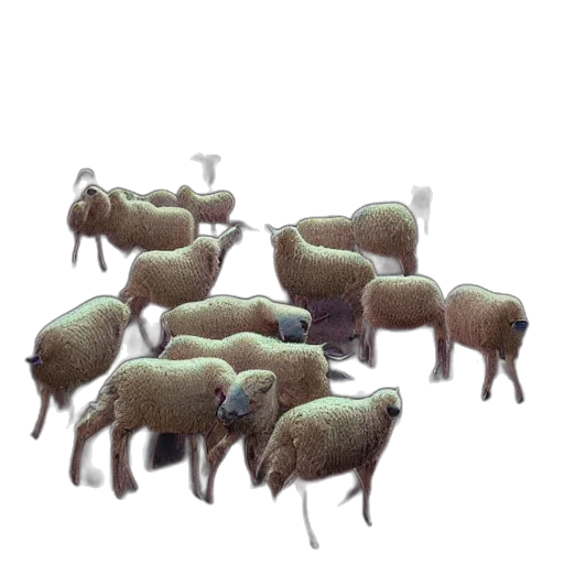 animal, furniture, weapon, food, 3d render, concept art, pixel art, fantasy art transparent PNG cut-out