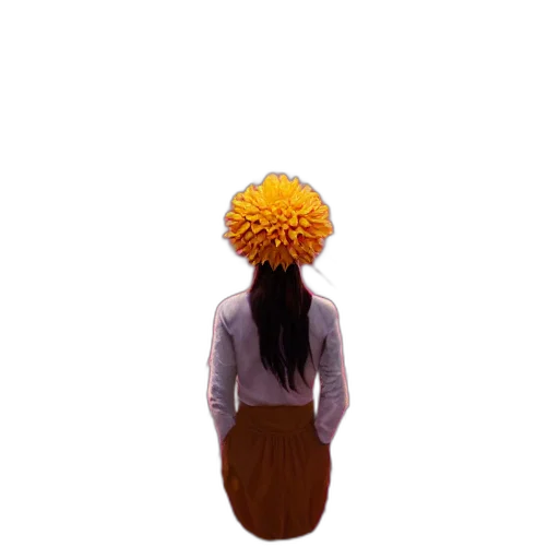 hat, hair, crown, staff transparent PNG cut-out