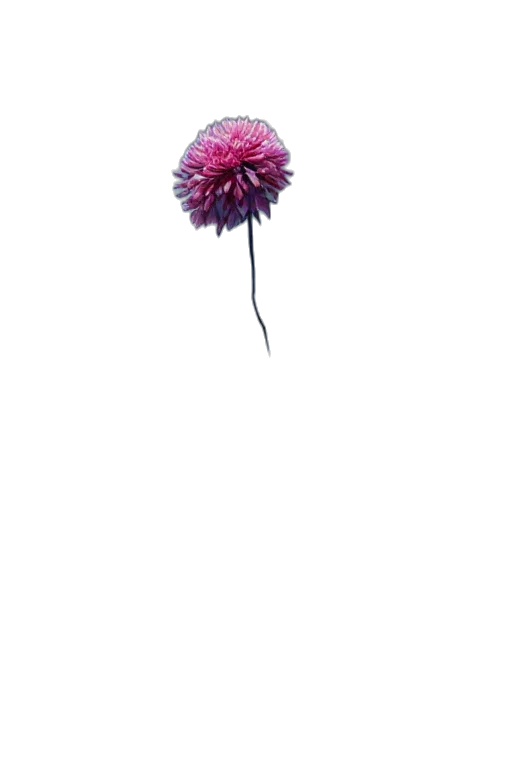flower, umbrella, crown, staff, 3d render, photorealistic, concept art, pixel art transparent PNG cut-out