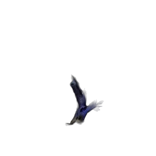animal, dragon, creature, staff transparent PNG cut-out