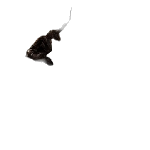 animal, dragon, staff, creature, photorealistic, 3d render, concept art, underwater transparent PNG cut-out
