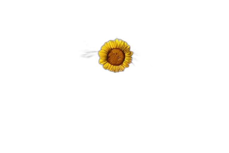 flower, crown, jewelry, hair transparent PNG cut-out