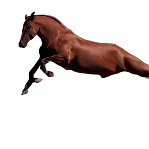 animal, creature, dragon, shoes transparent PNG cut-out
