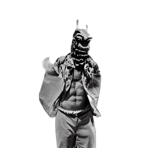 jacket, animal, mask, creature transparent PNG cut-out
