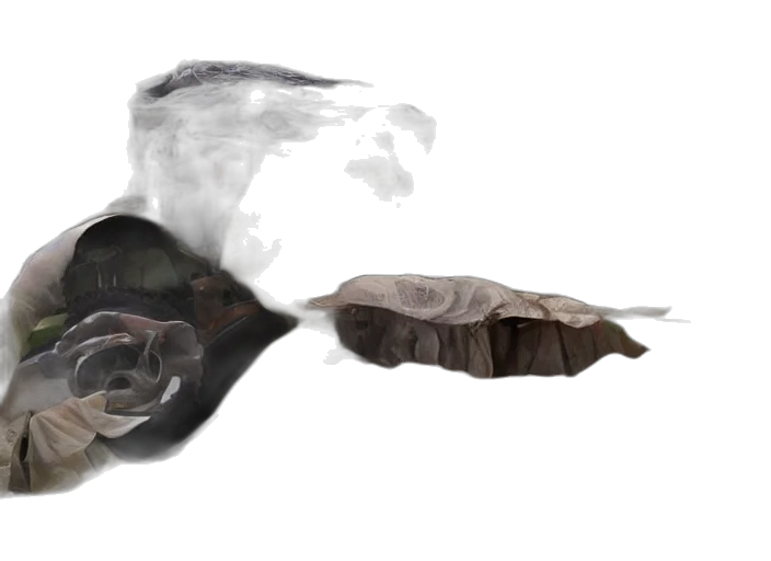mask, face, dragon, creature transparent PNG cut-out