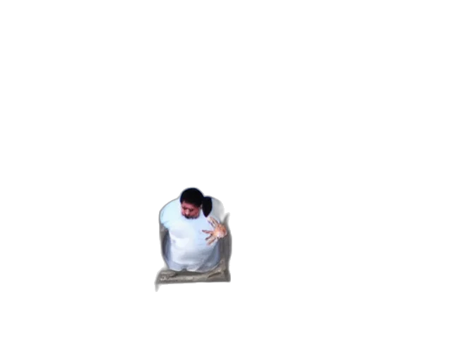 furniture, creature, staff, animal transparent PNG cut-out
