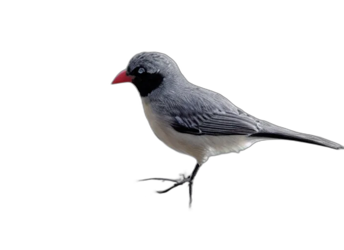 animal, staff, creature, hat, 3d render, photorealistic, concept art, bird transparent PNG cut-out