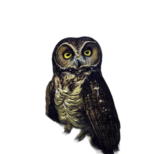 animal, creature, staff, face transparent PNG cut-out