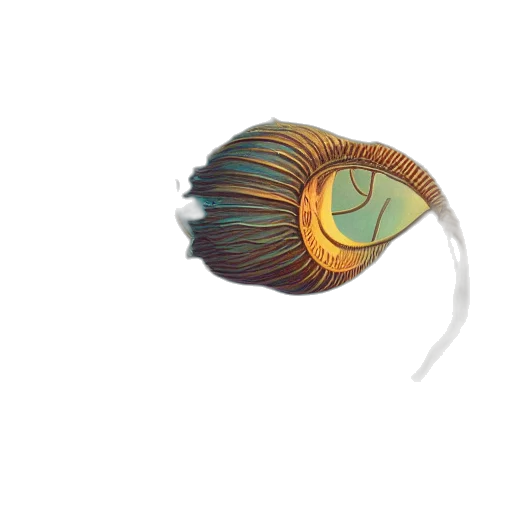 creature, animal, hair, crown transparent PNG cut-out