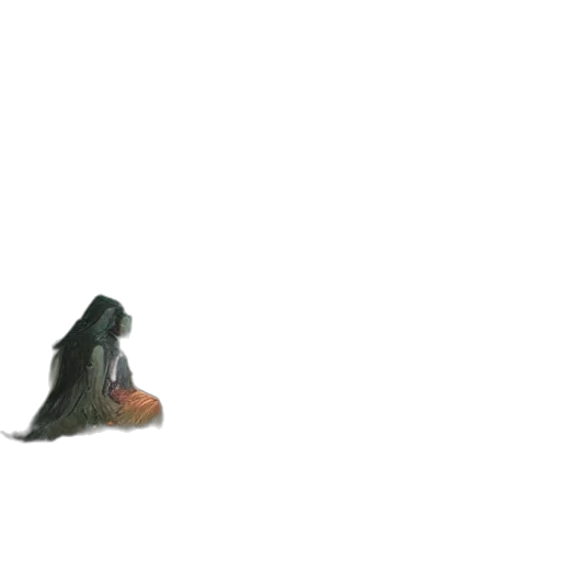animal, shoes, creature, hair transparent PNG cut-out