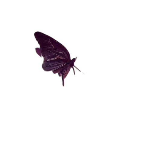 animal, creature, flower, umbrella transparent PNG cut-out