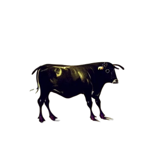 animal, creature, food, jewelry, concept art, photorealistic, pixel art, oil painting transparent PNG cut-out