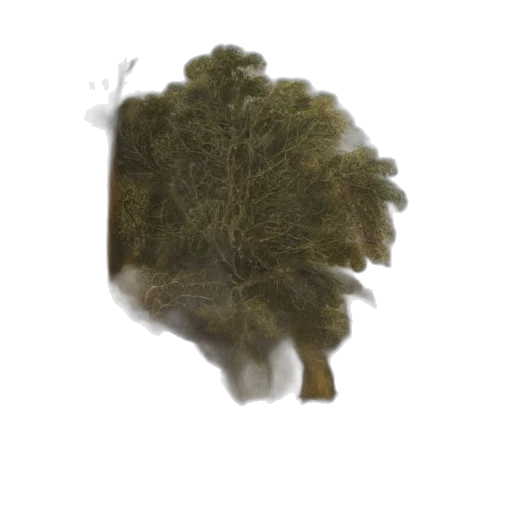 tree, hair, crown, hat, 3d render, photorealistic, concept art, watercolor transparent PNG cut-out