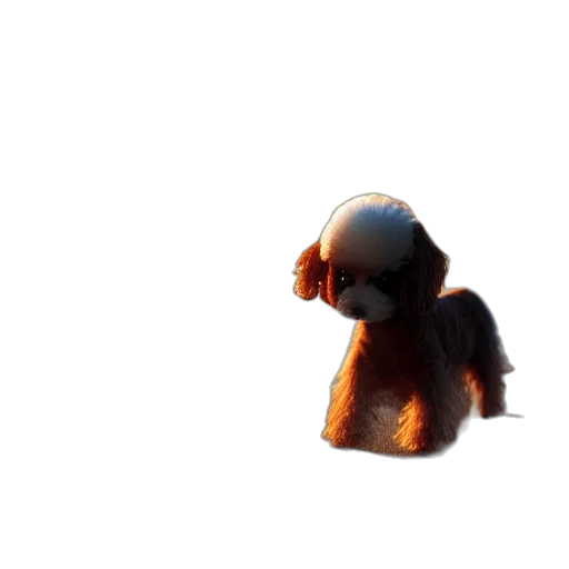 creature, robot, hair, animal, 3d render, concept art, pixel art, photorealistic transparent PNG cut-out