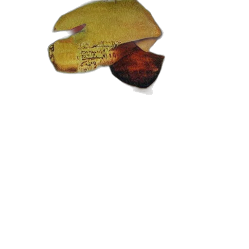 hat, food, mask, crown, photorealistic, watercolor, 3d render, oil painting transparent PNG cut-out
