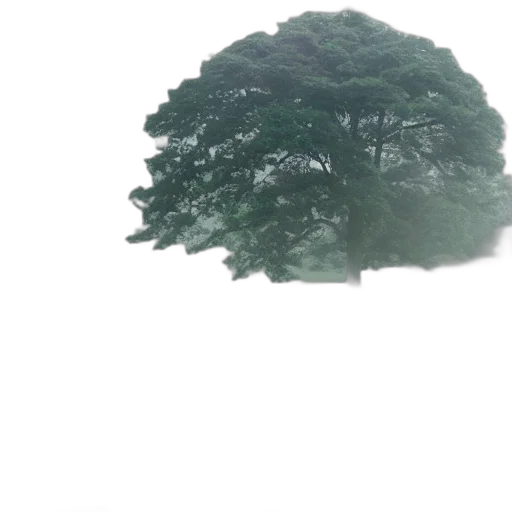 tree, dress, umbrella, hair transparent PNG cut-out