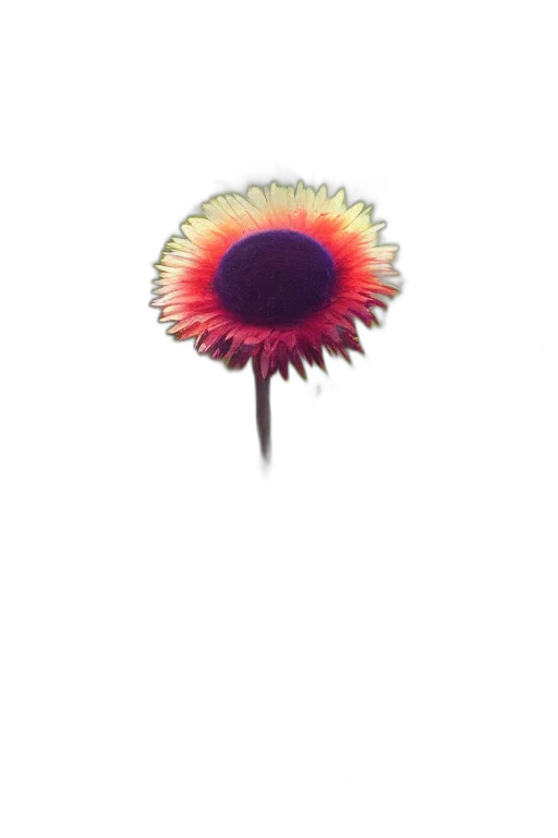 flower, umbrella, staff, crown, 3d render, watercolor, photorealistic, concept art transparent PNG cut-out