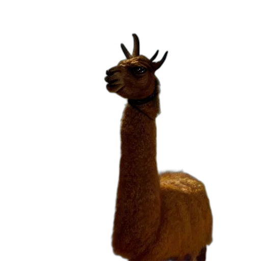 animal, staff, creature, hat transparent PNG cut-out