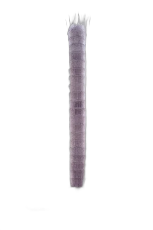 staff, weapon, bottle, sword transparent PNG cut-out
