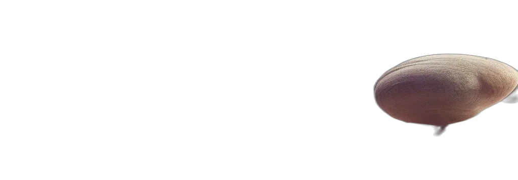 staff, face, monochrome, pastel transparent PNG cut-out