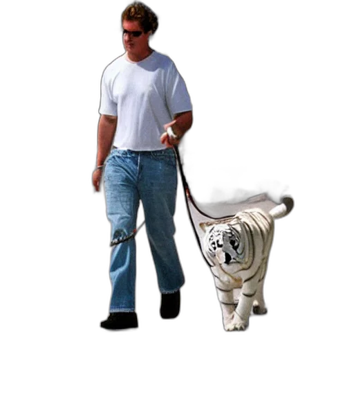 animal, creature, staff, robot transparent PNG cut-out