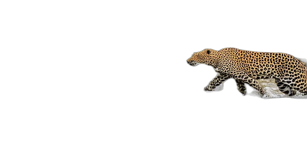 animal, creature, dragon, car, 3d render, photorealistic, concept art, pixel art transparent PNG cut-out