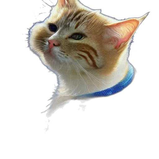 staff, animal, face, creature transparent PNG cut-out