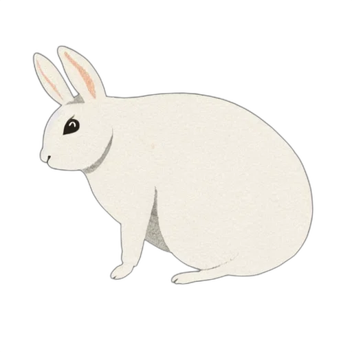 animal, creature, food, weapon transparent PNG cut-out