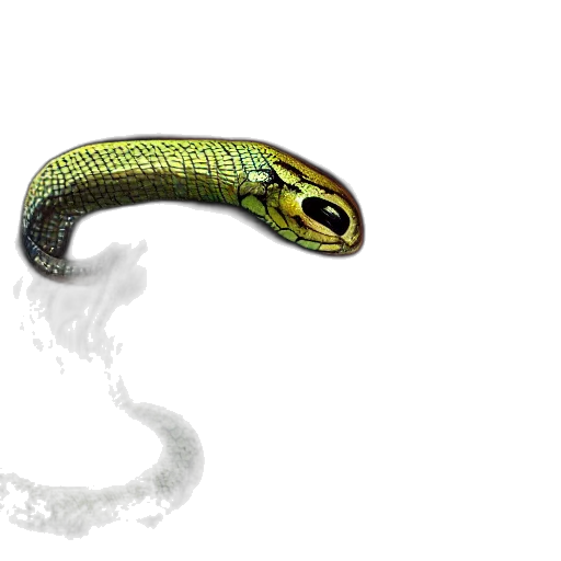 animal, creature, staff, dragon, photorealistic, concept art, 3d render, fantasy art transparent PNG cut-out