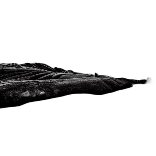 dragon, hair, shoes, sword, photorealistic, concept art, 3d render, pencil sketch transparent PNG cut-out